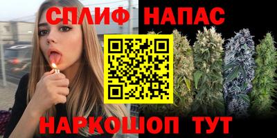 прущие грибы Гагарин
