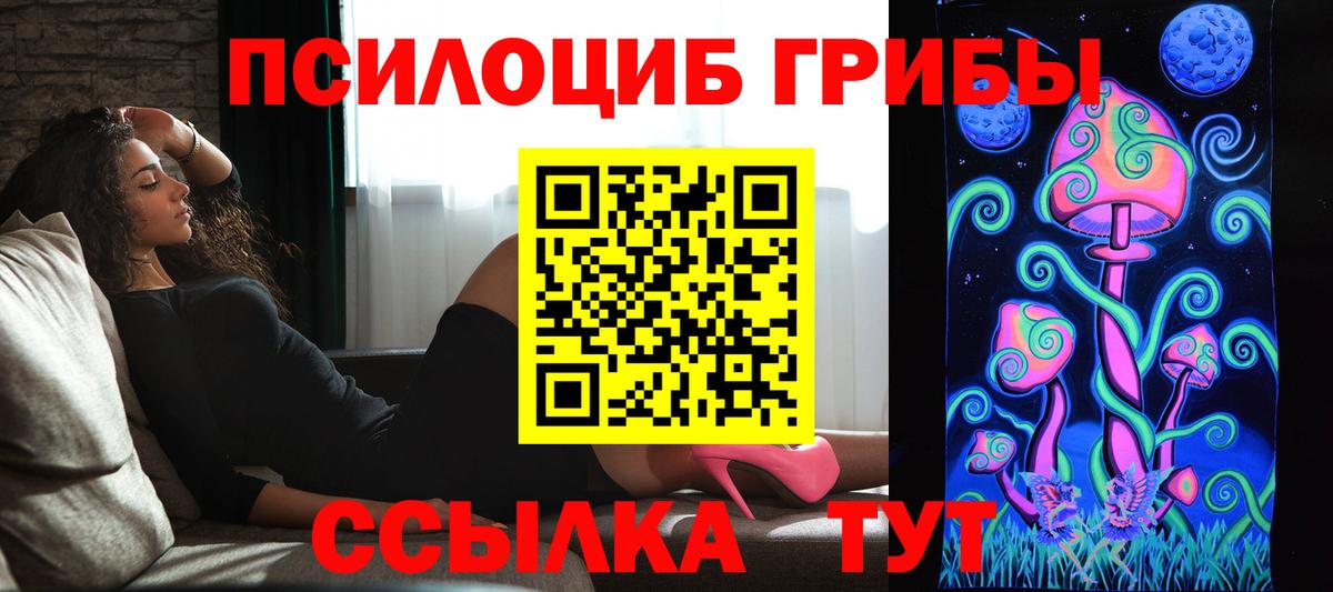 Псилоцибиновые грибы мицелий  Вход с VPN  Мыски 