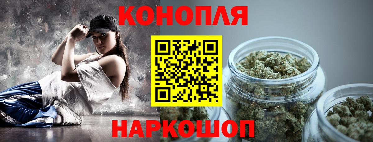 Каннабис планчик Мыски